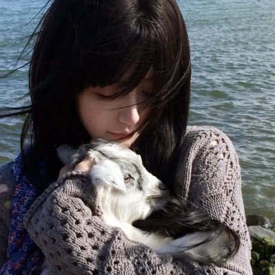 鳄鱼藏尸日记